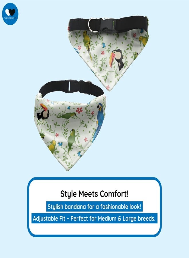 W Dog Bandana Collar Adjustable by W | This Beautiful Gorgeous Design Dog Collar Bandana Scarf is Perfect Styling Accessory for Dogs (M, Parrot) - Image 3